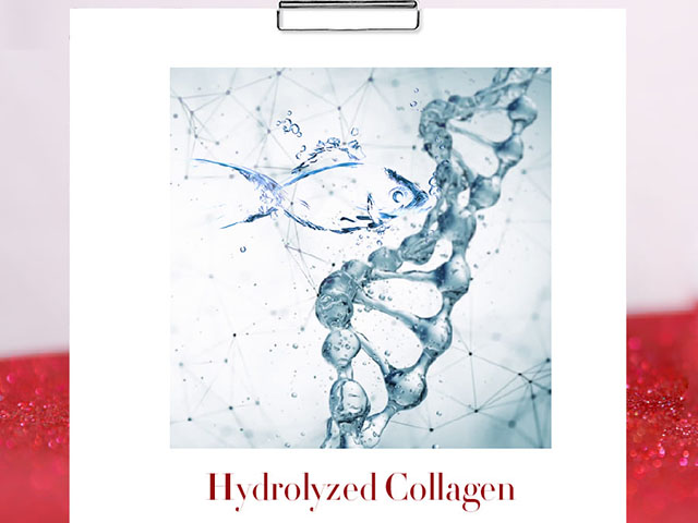 Thành phần Hydrolyzed Collagen trong Son môi Collagen Edally EX